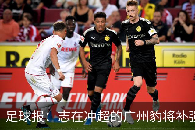 足球报：志在冲超的广州豹将补强锋线，正与目标外援前锋洽谈