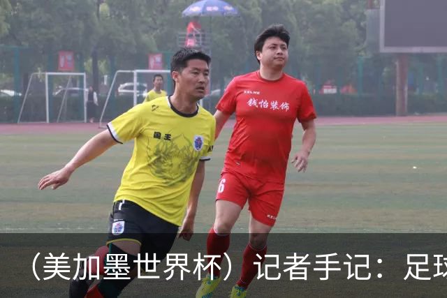 （美加墨世界杯）记者手记：足球世界，规则谁定？
